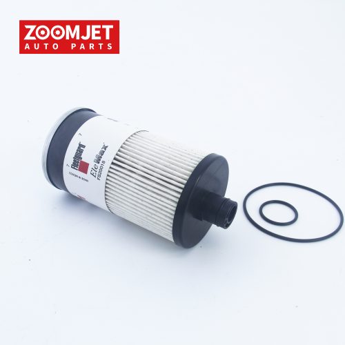 Alternative view of FUEL FILTER FS20018